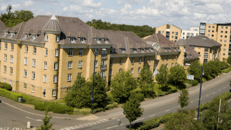 care jobs in working, care jobs woking