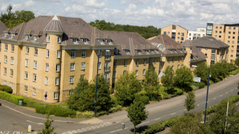 care jobs in working, care jobs woking