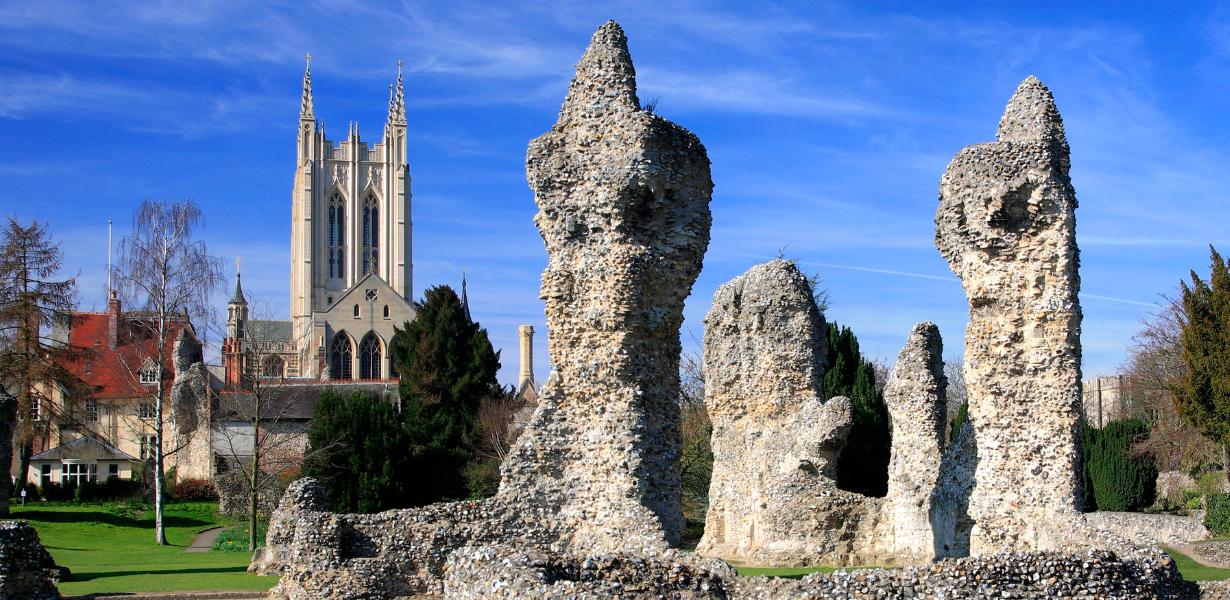 Nurseplus Bury St Edmunds